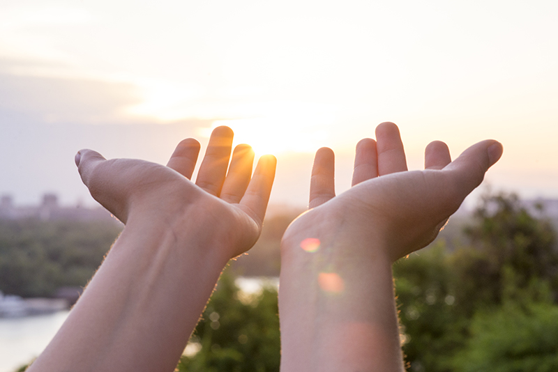 Hands in sunshine